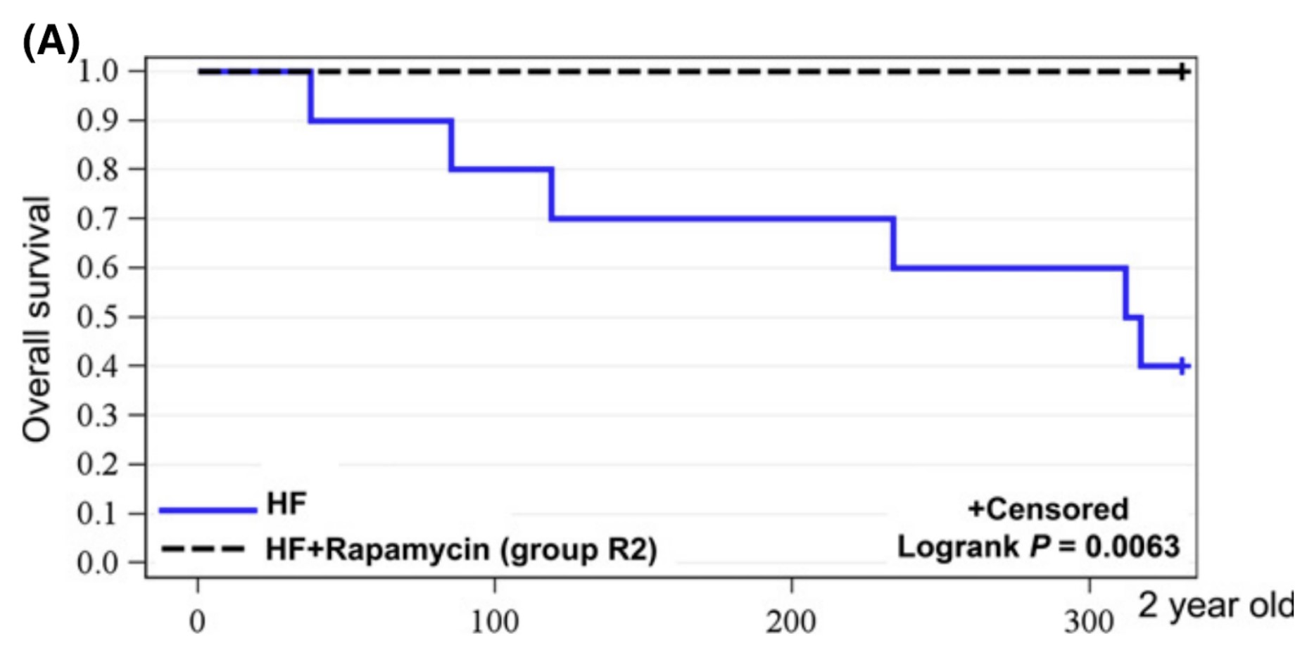 Rapamycin increases survival in mice on a high fat diet