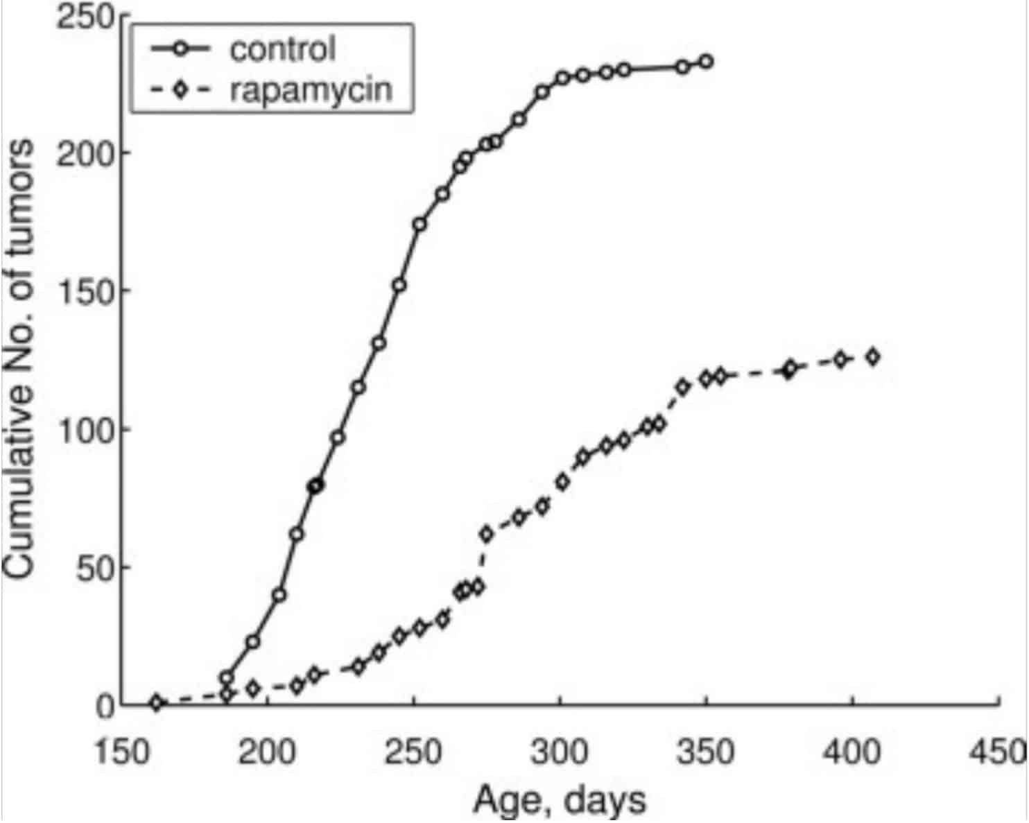 Rapamycin reduces tumor growth Rapamycin reduces tumor growth in mice